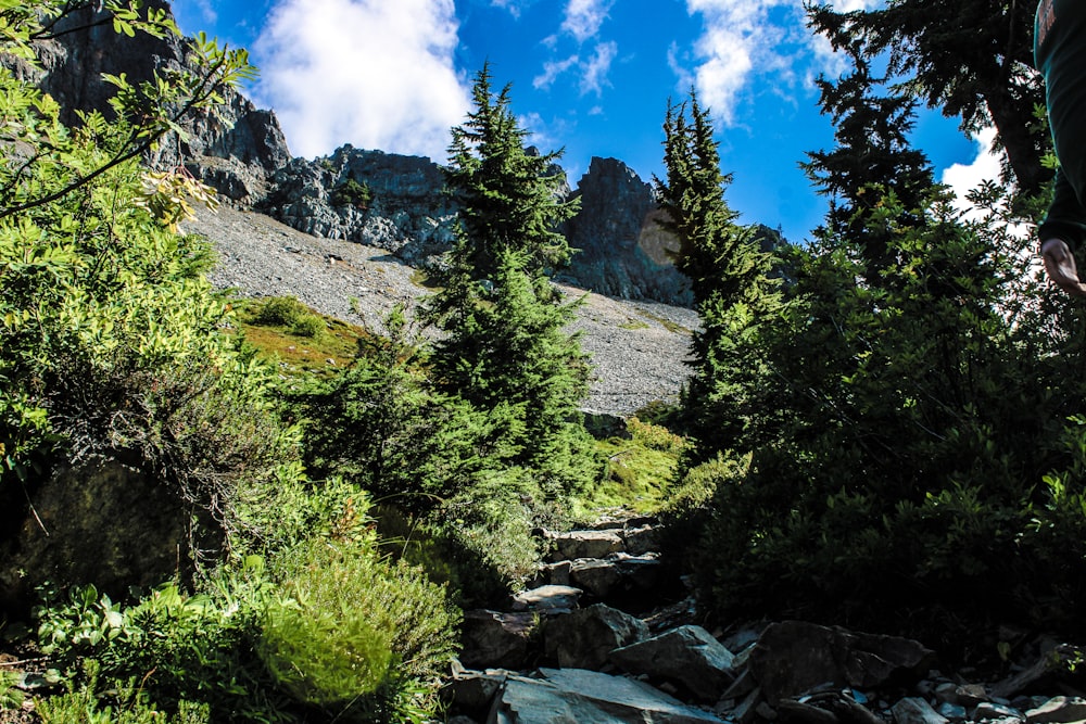 a man hiking up a rocky trail in the woods