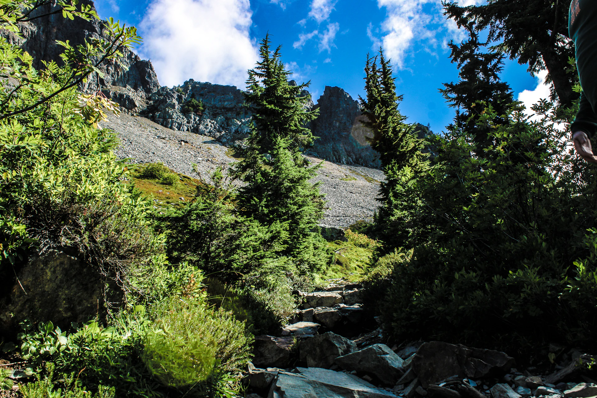 Close-up of a racer navigating a rocky path surrounded by lush green pine trees under a bright blue sky.