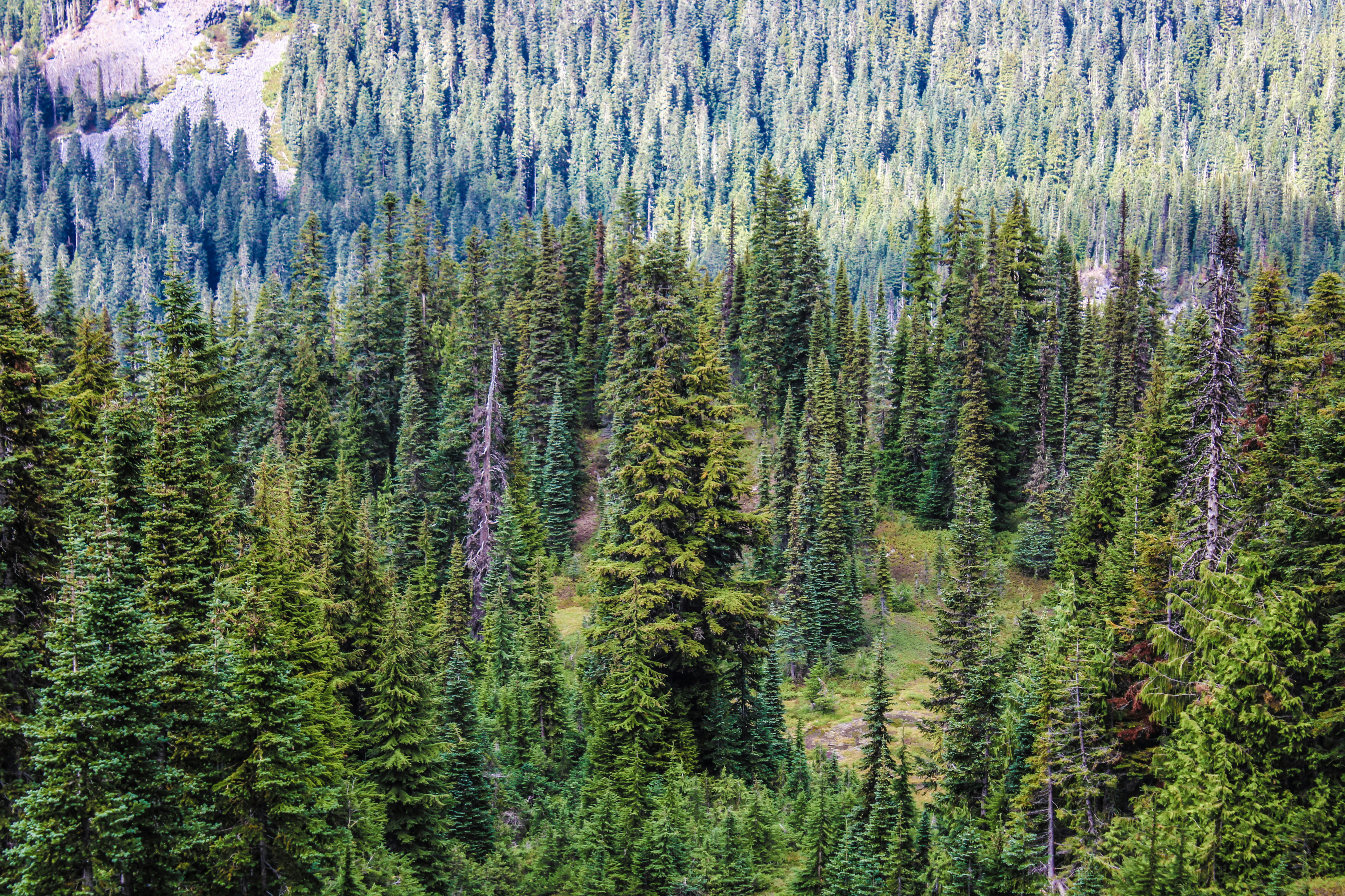 Photo by prphotography262