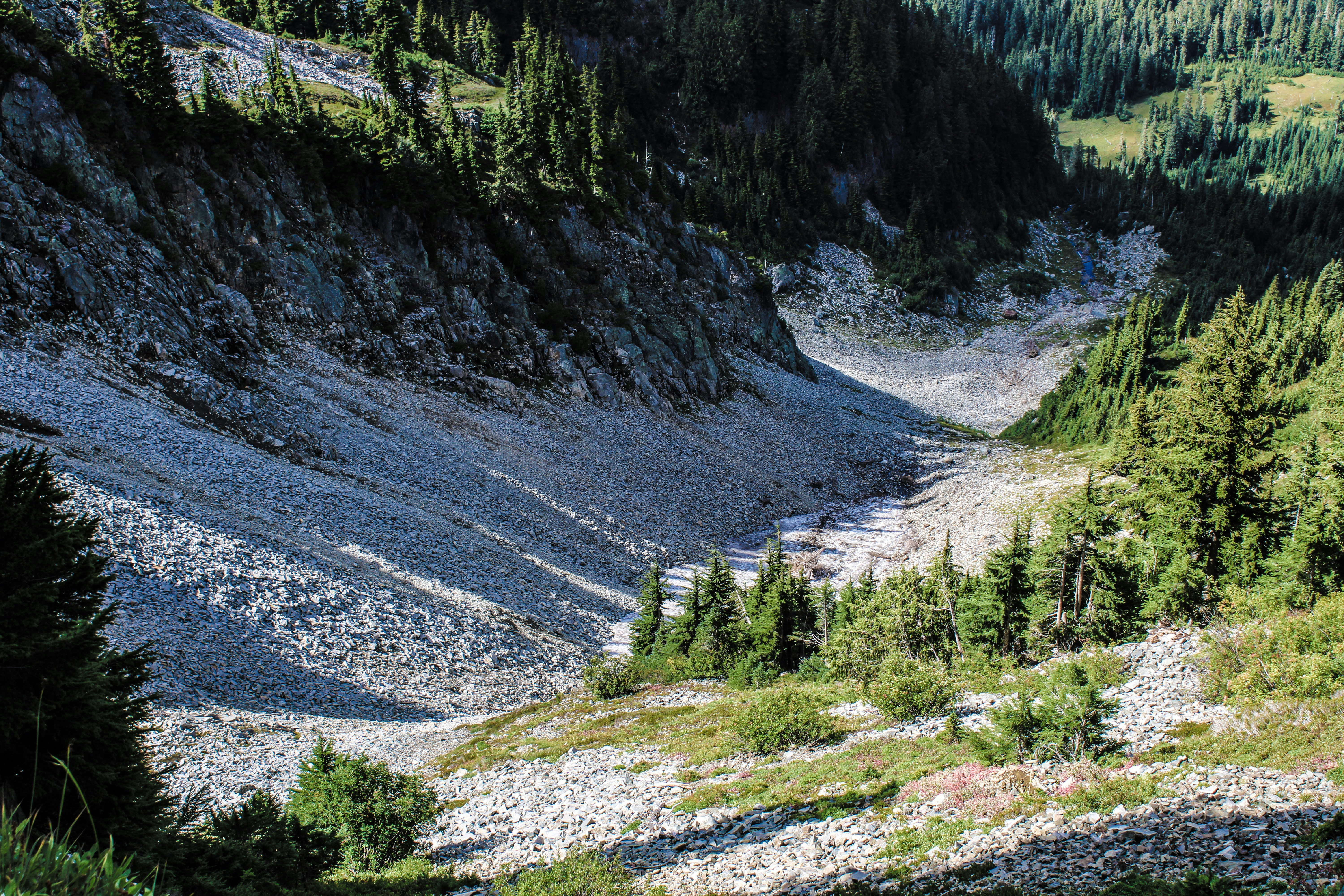 Photo by prphotography262