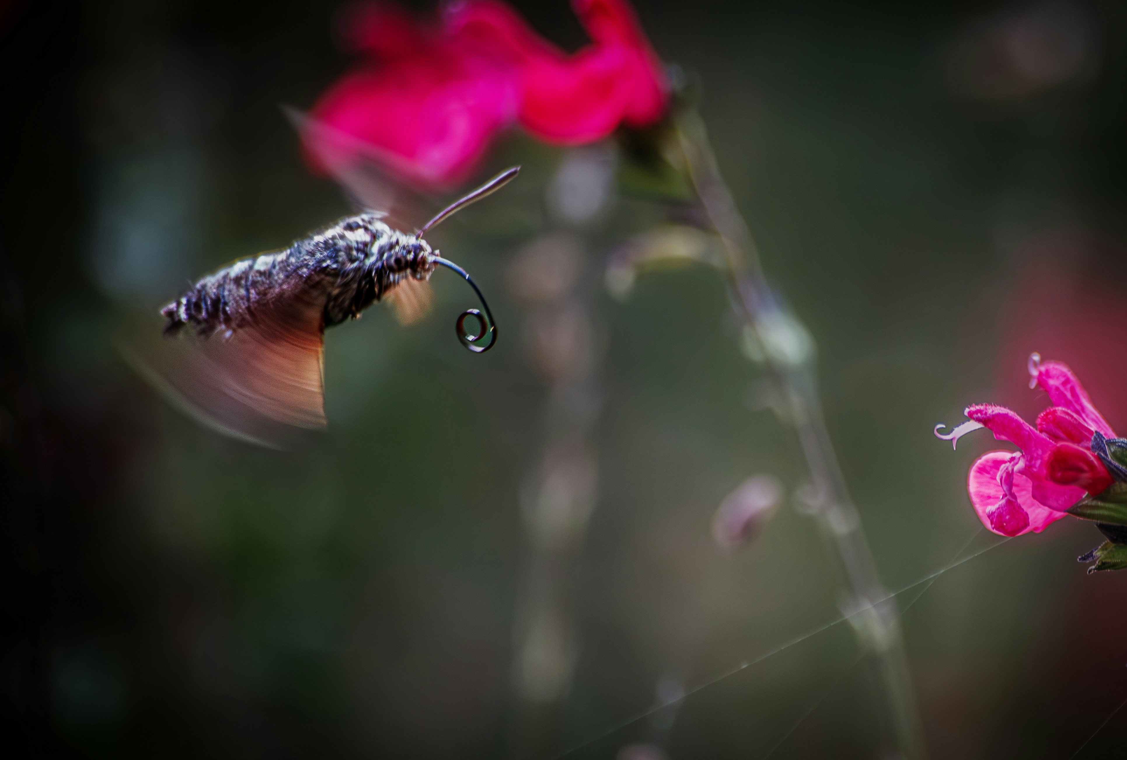 Photo by arizonanthony