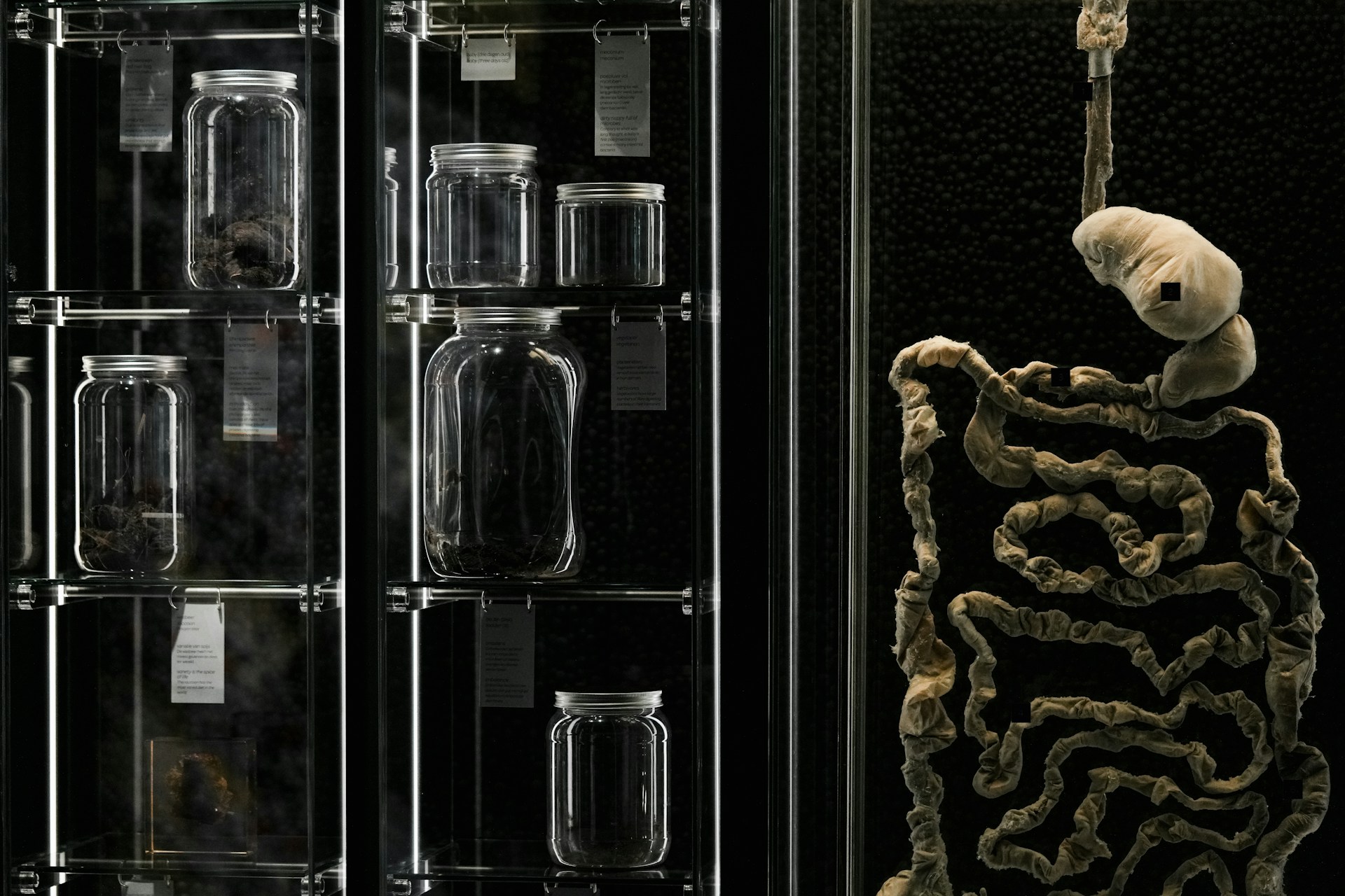 woman wearing yellow long-sleeved dress under white clouds and blue sky during daytime