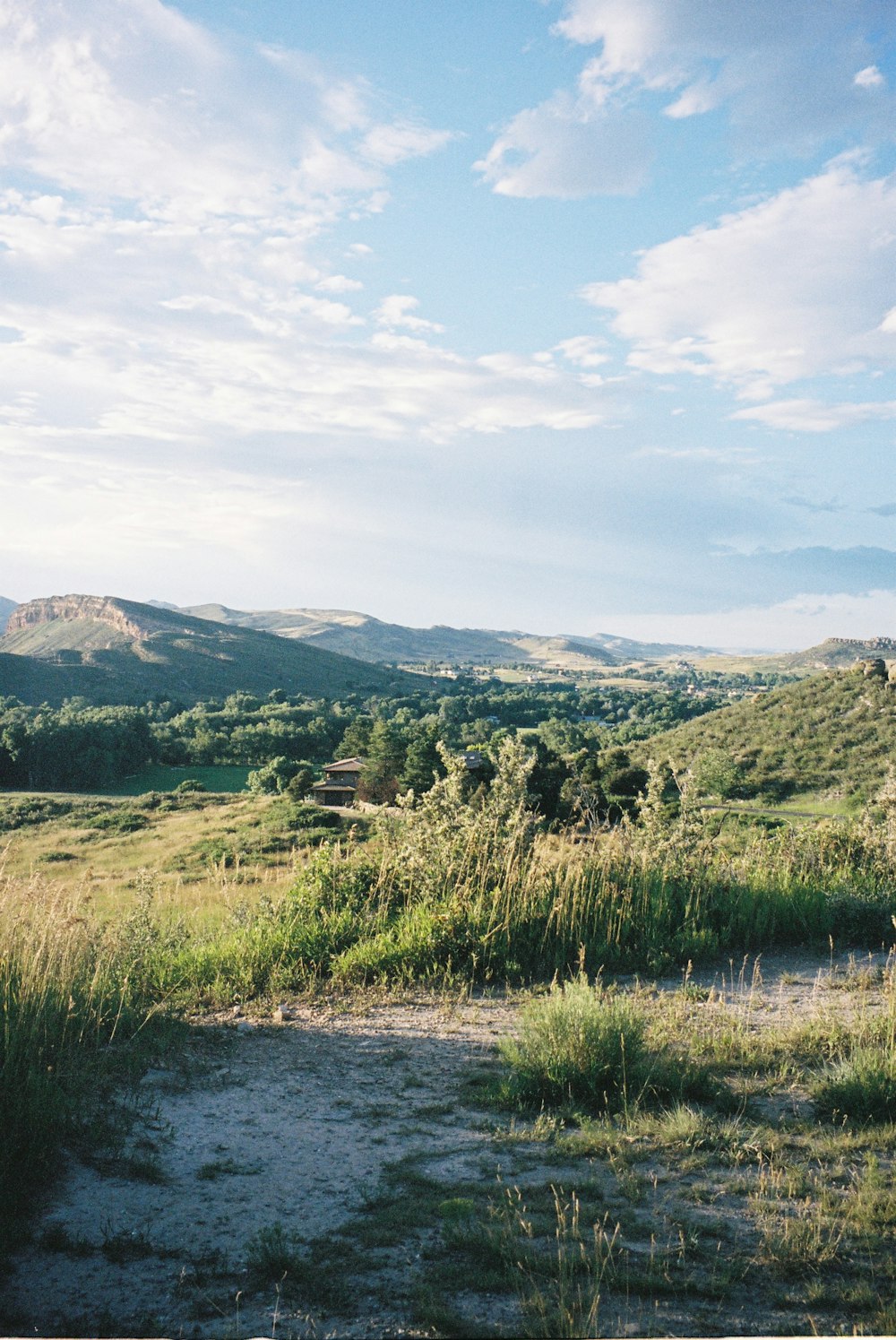 a grassy field with mountains in the background