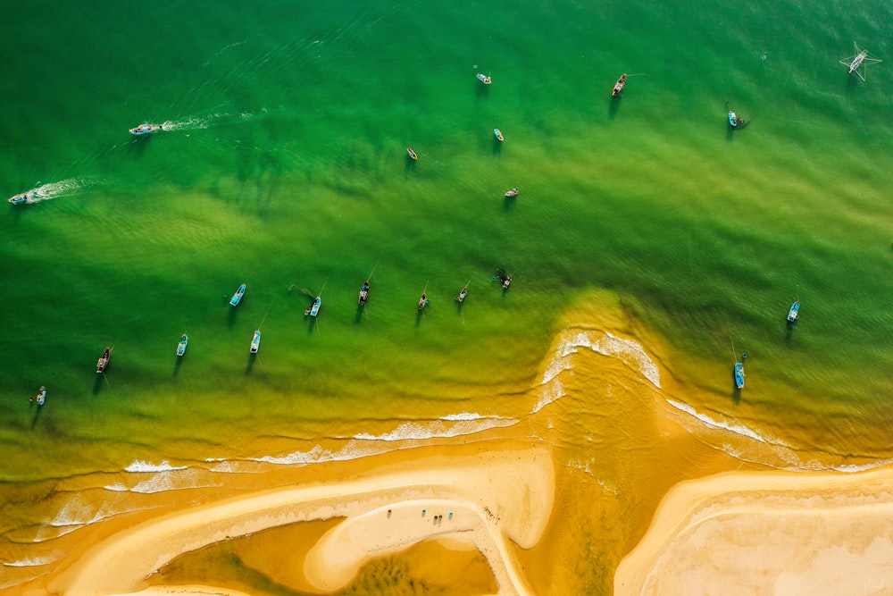 a group of people on surfboards in the ocean