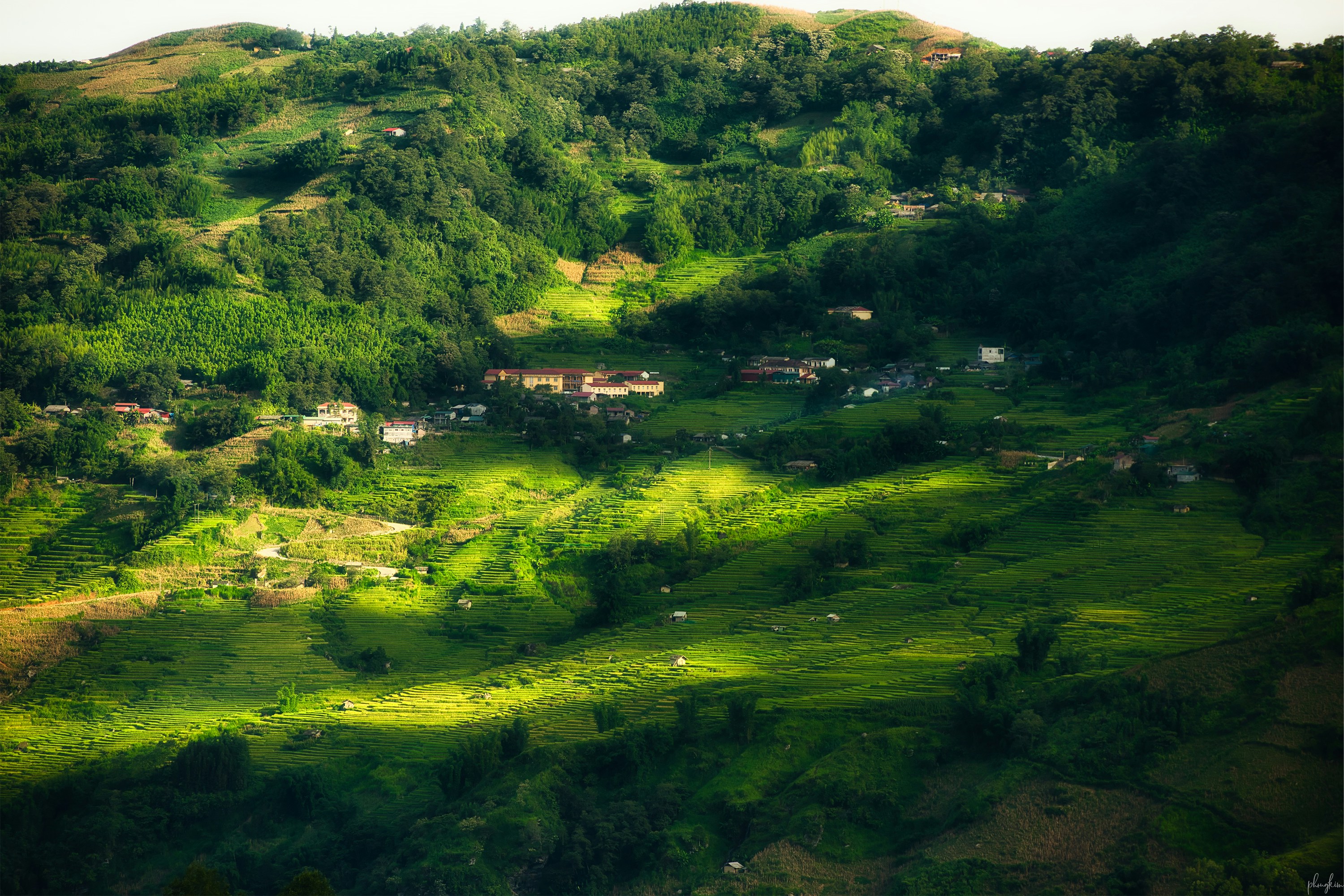 lereng bukit hijau subur yang ditutupi banyak pepohonan