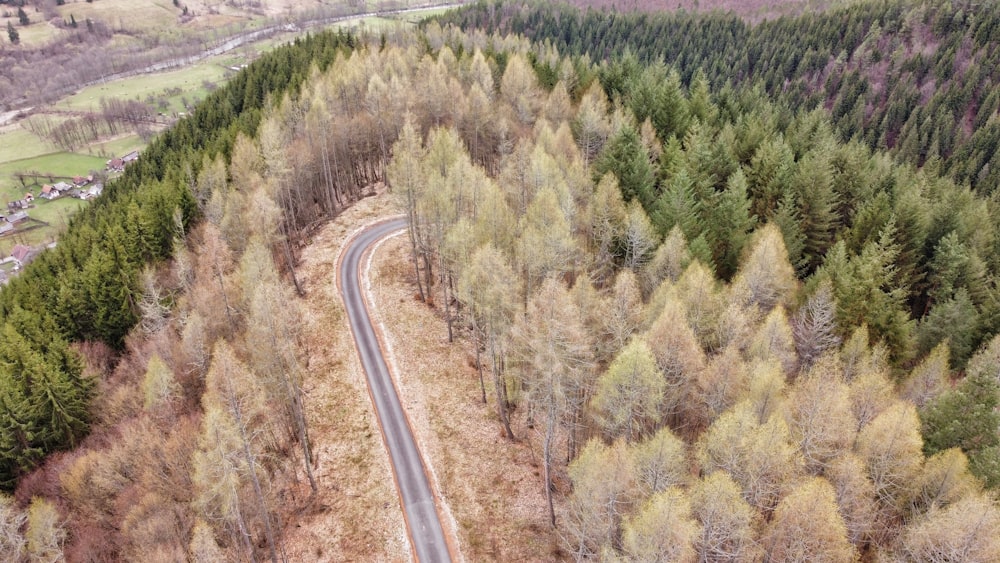 an aerial view of a road surrounded by trees