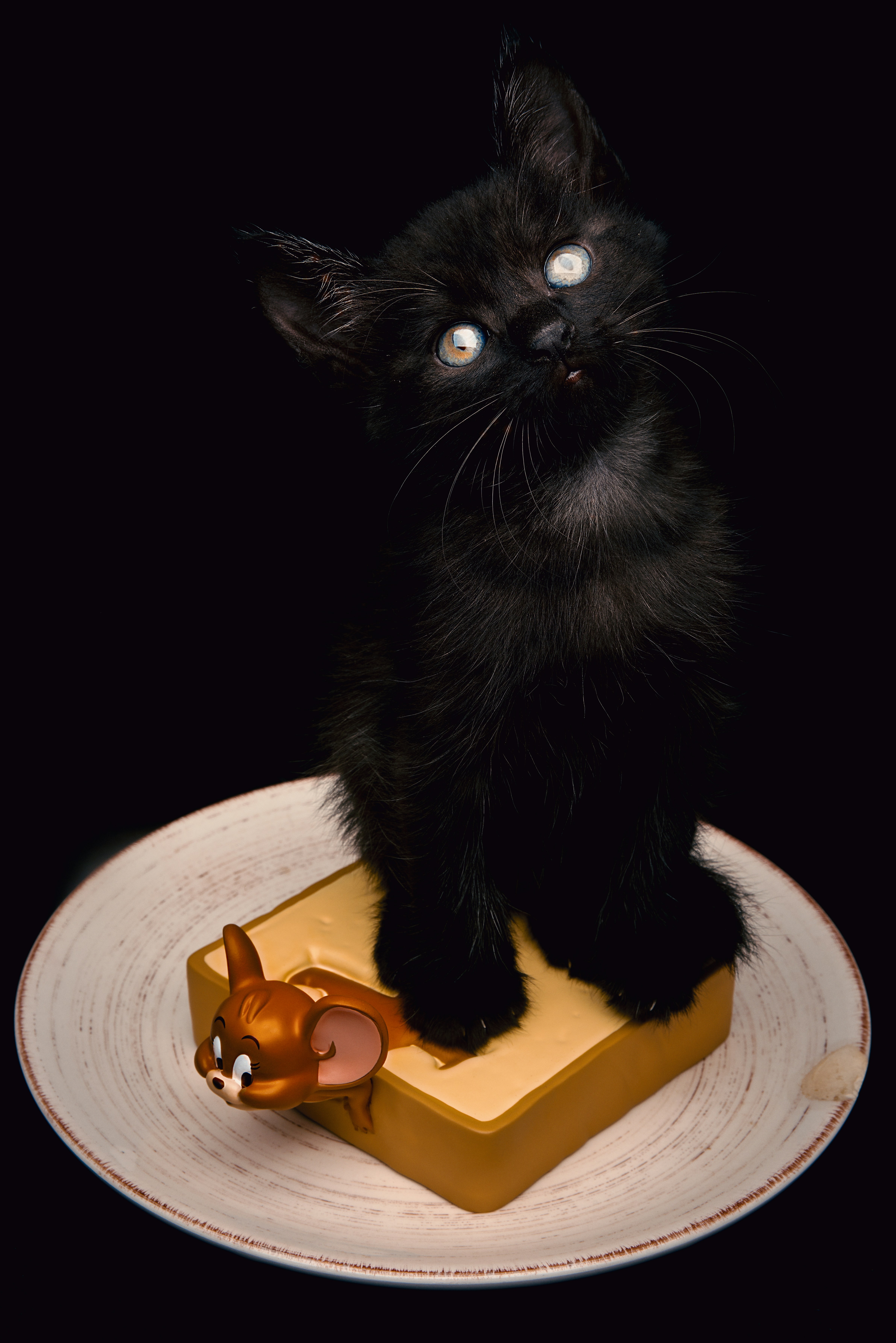 A Coat Like Chocolate Velvet (image credits: unsplash)