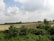 A vast landscape of agricultural fields extends into the distance. The foreground features dense green shrubs and a single palm tree, while the background displays flat, tilled fields. A row of trees lines the horizon under a sky filled with fluffy, white clouds.