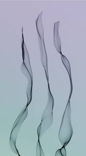 A video snippet showing a dynamic banner with subtle animations on a freelance developer’s portfolio.