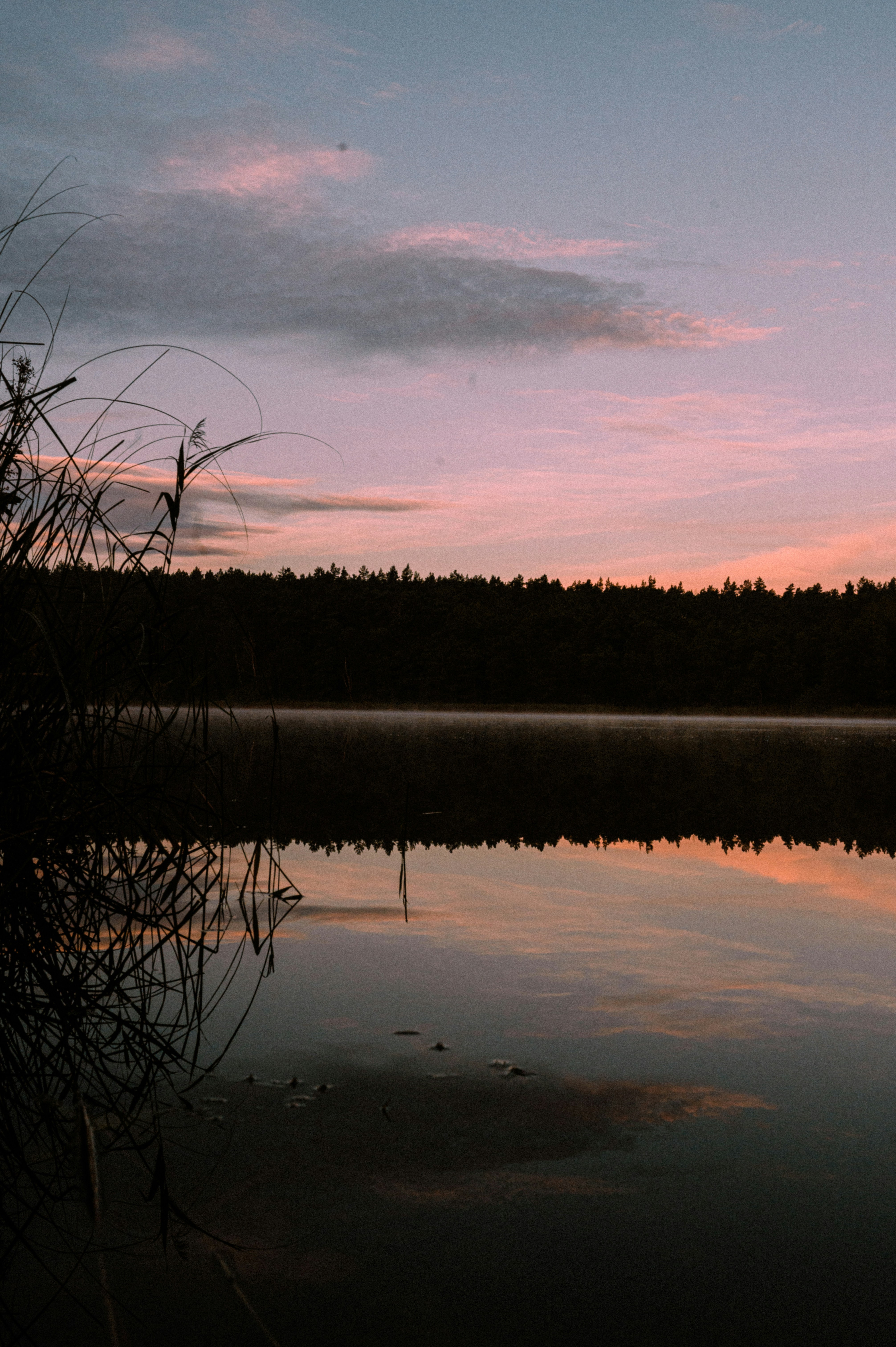 Photo by luca_severin