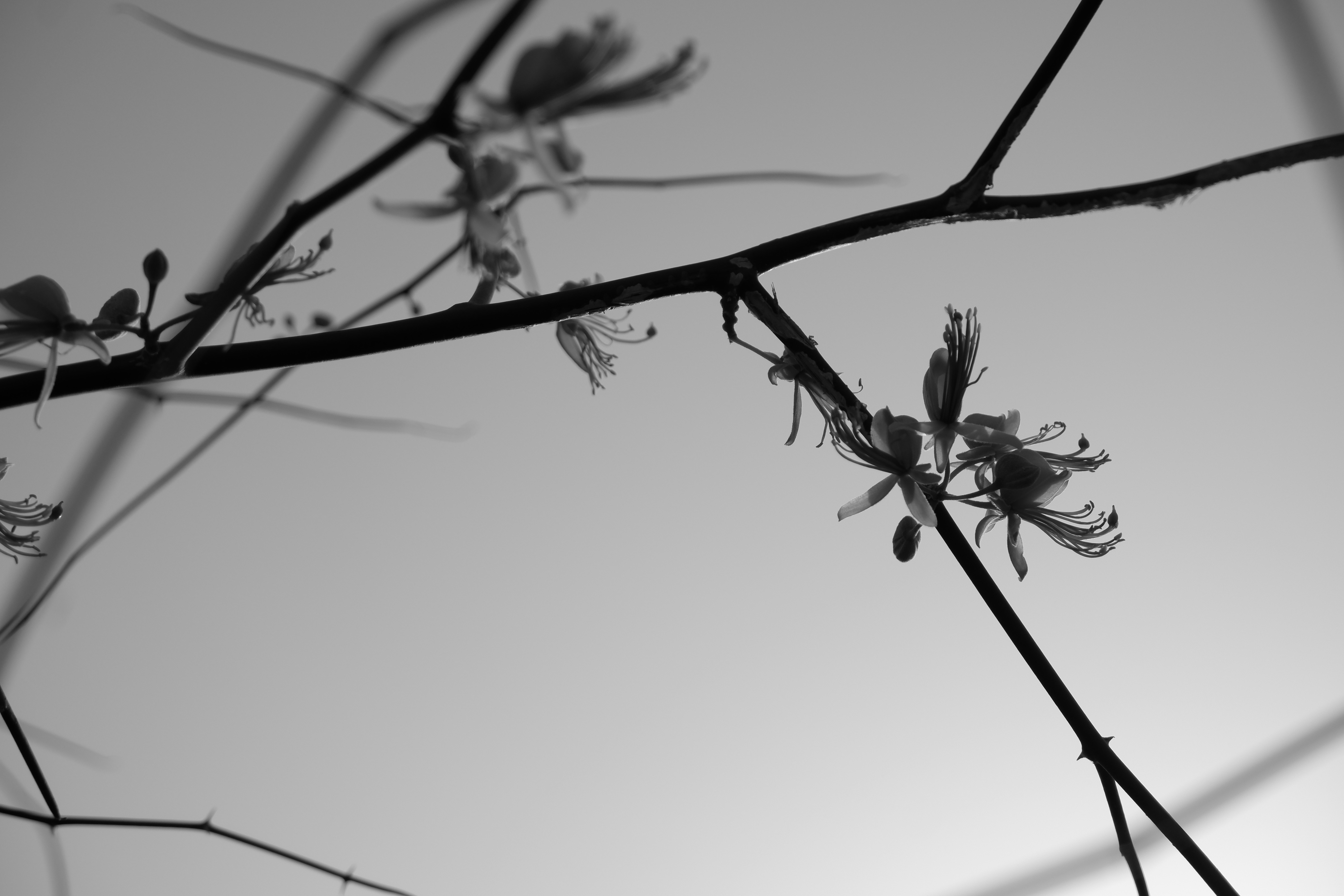 Photo by jaya14shukla