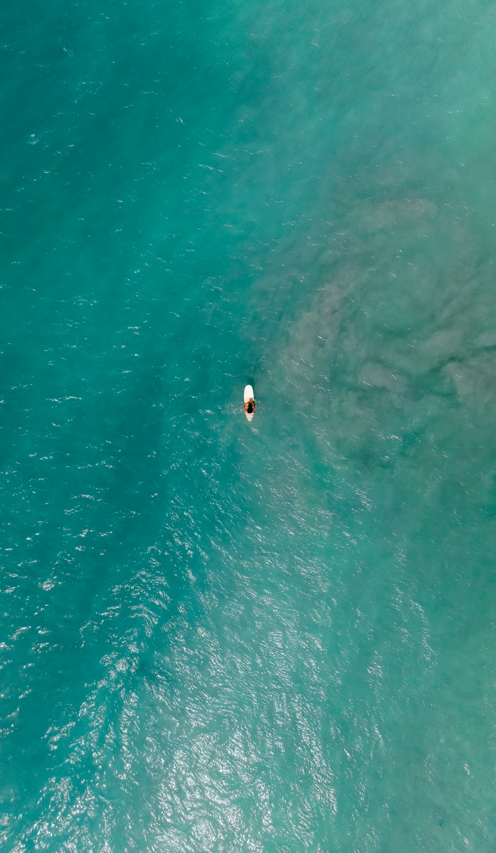 une vue aérienne d’un bateau dans l’océan