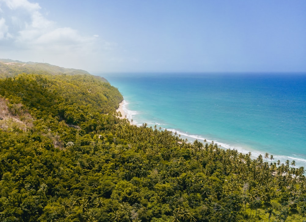 a view of the ocean from the top of a hill