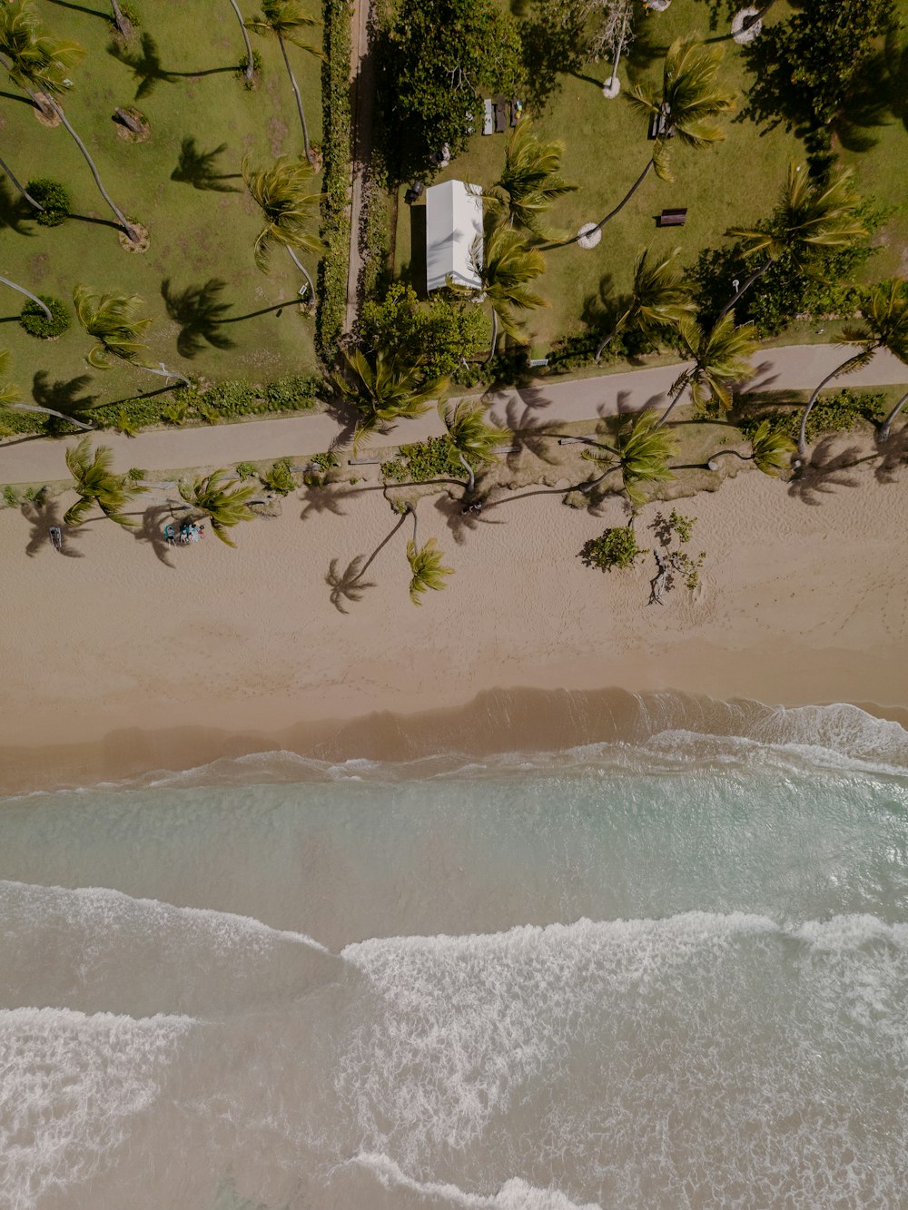 a bird's eye view of a beach and ocean