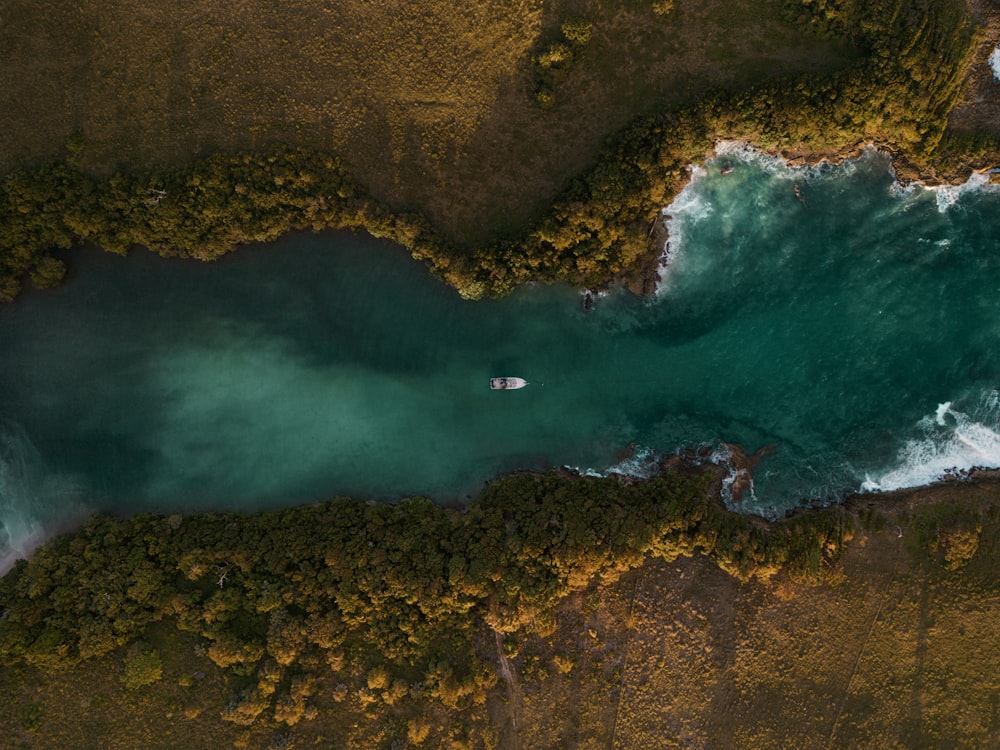 an aerial view of a body of water surrounded by trees