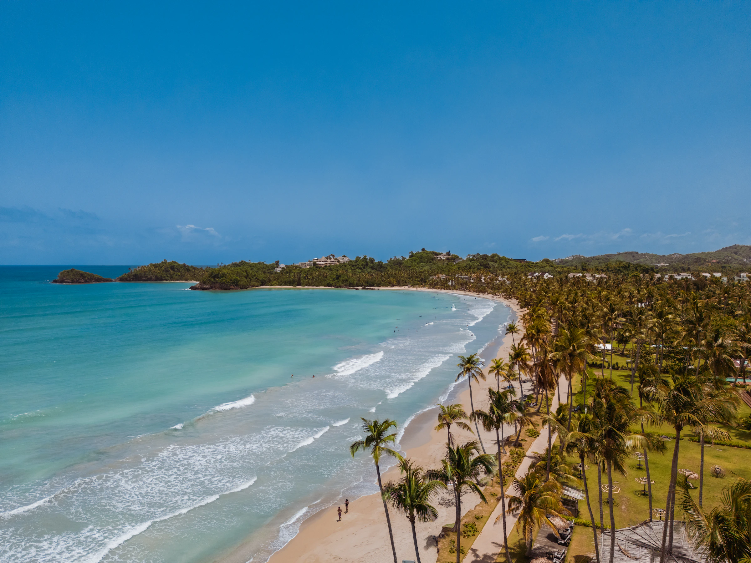Aerial view of the coconut-lined shoreline at Playa Bonita, Las Terrenas, Dominican Republic