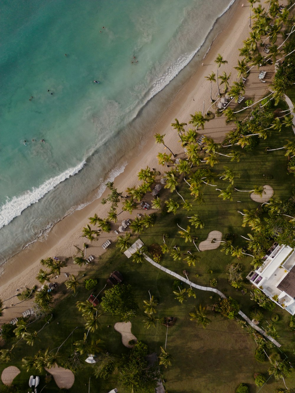 an aerial view of a beach and ocean