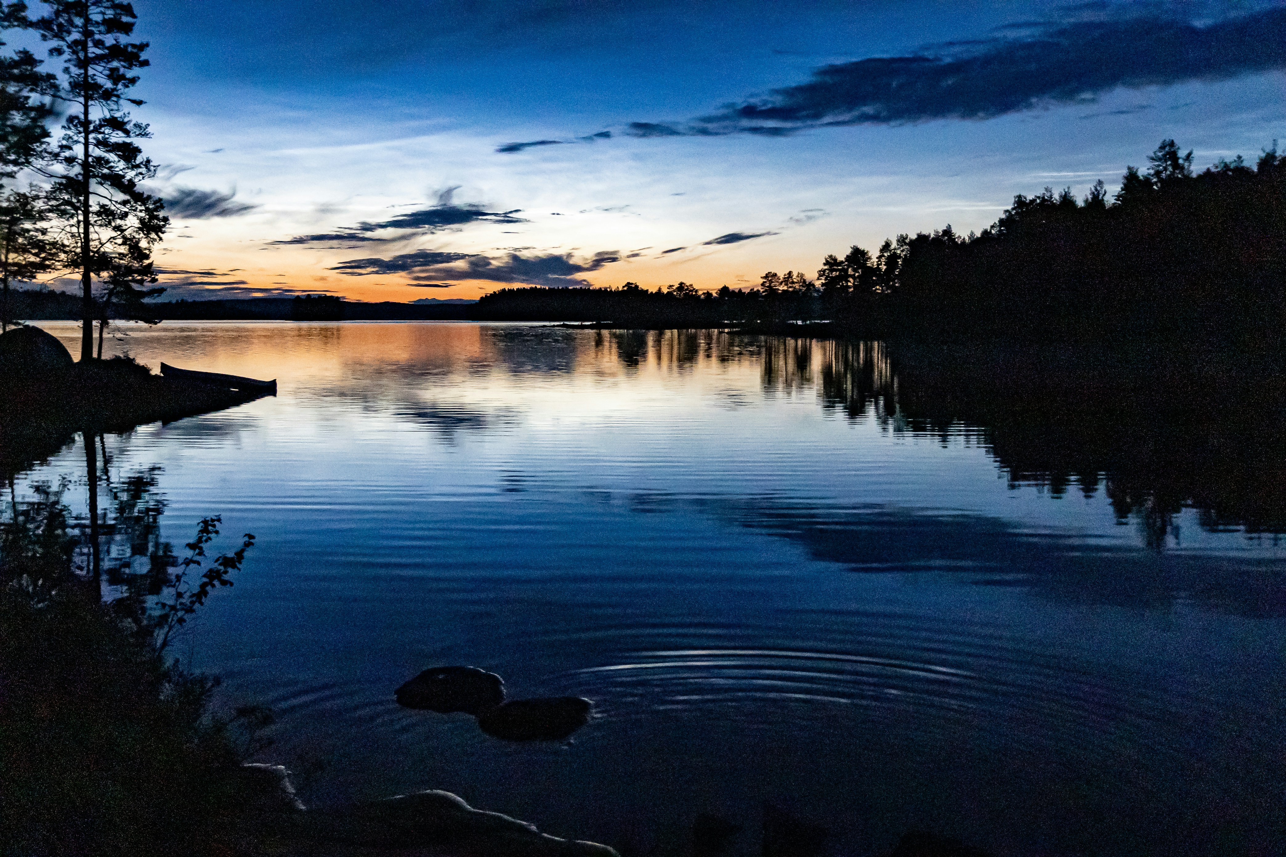 Photo by berniwittmann