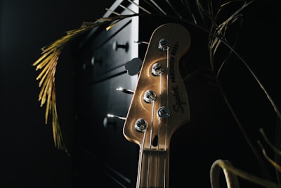 A wooden guitar headstock with tuning pegs is prominently featured. Light casts a warm glow on the instrument, highlighting the strings and the brand logo. The background is dark, with hints of plant leaves and a piece of furniture adding depth to the scene.