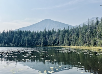 A tranquil lake surrounded by dense, evergreen forest with a mountain rising in the background. The water reflects the trees and sky, creating a serene and peaceful scene.