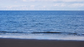A serene ocean view representing sustainability in marine sourcing.