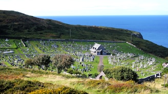 A cemetery stretches across a green hillside overlooking a body of water. The grounds are dotted with numerous gravestones and a small chapel-like building at the center. Surrounding the cemetery are lush trees and shrubs, with a backdrop of rolling hills.