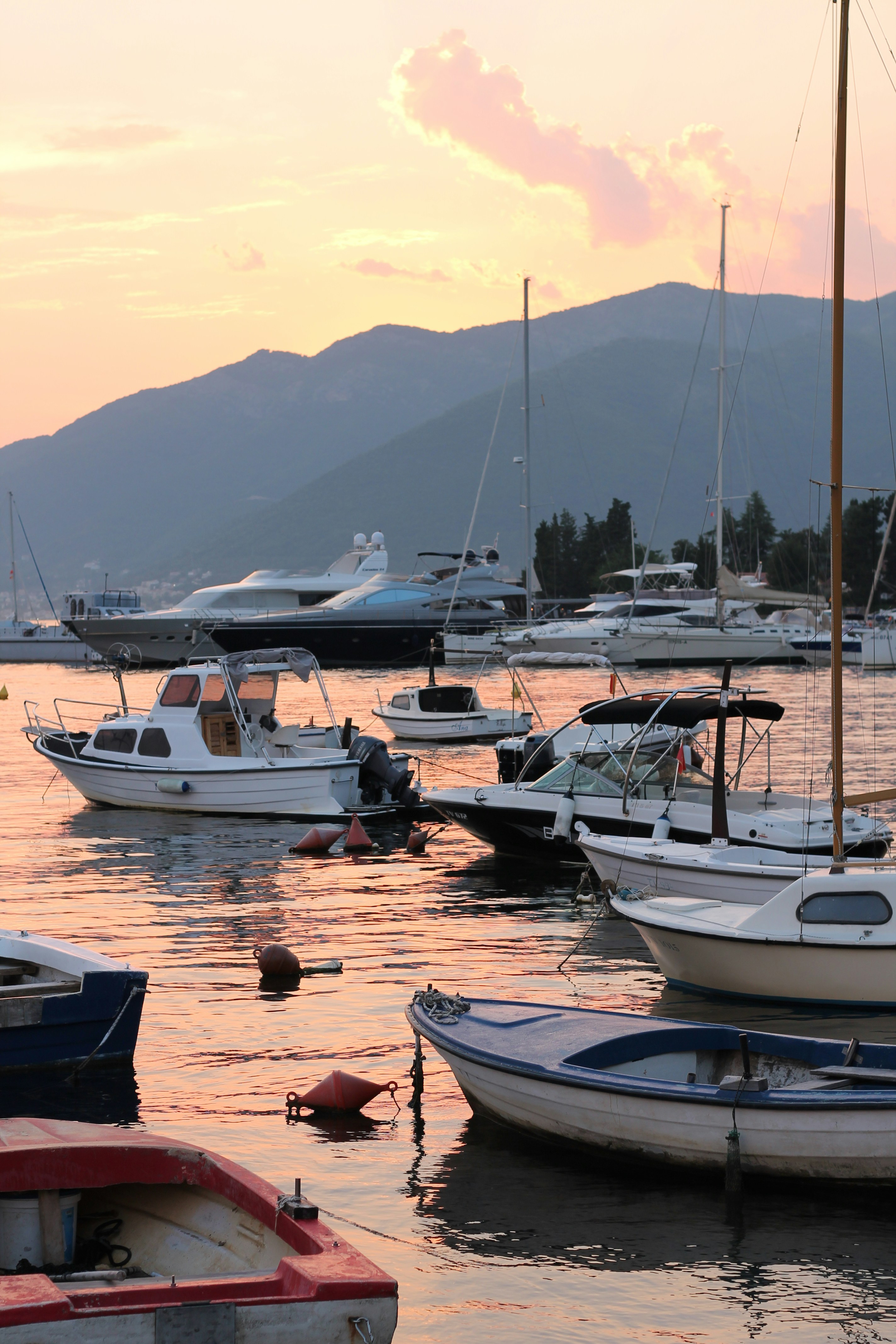 Photo by anisimova_le