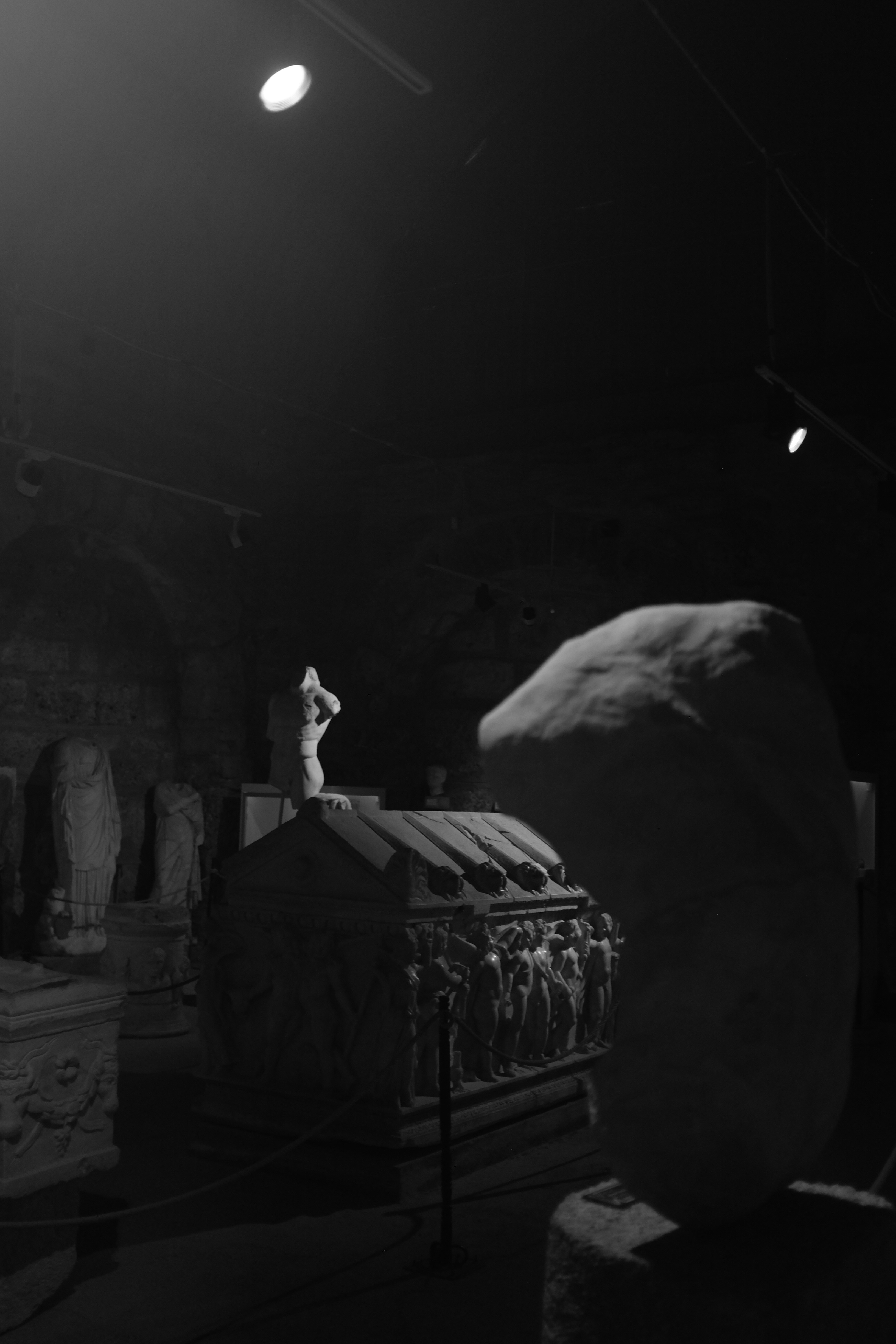 Photo by ignatkushanrev