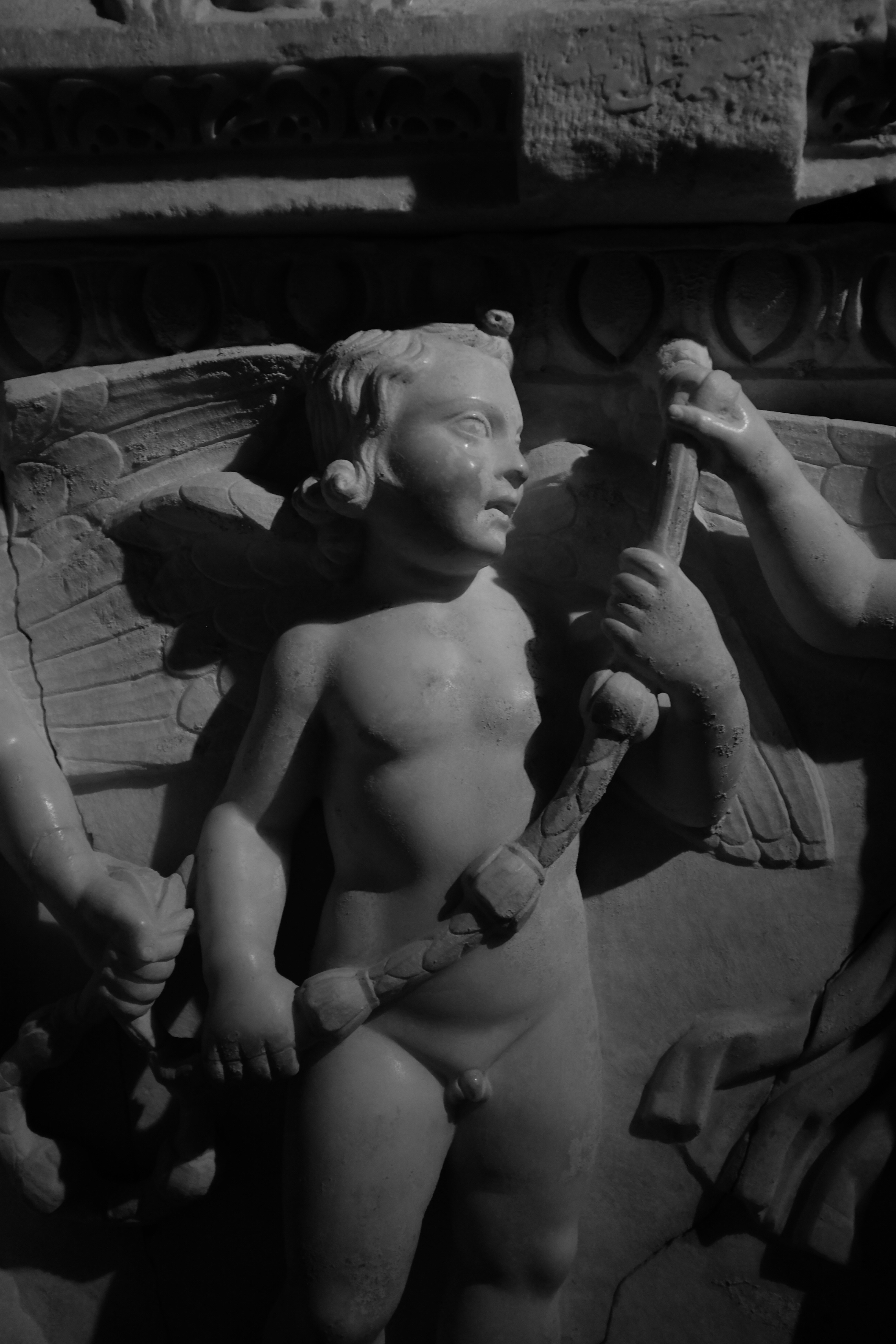 Photo by ignatkushanrev