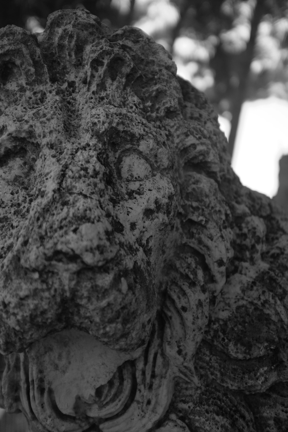 a close up of a statue of a lion