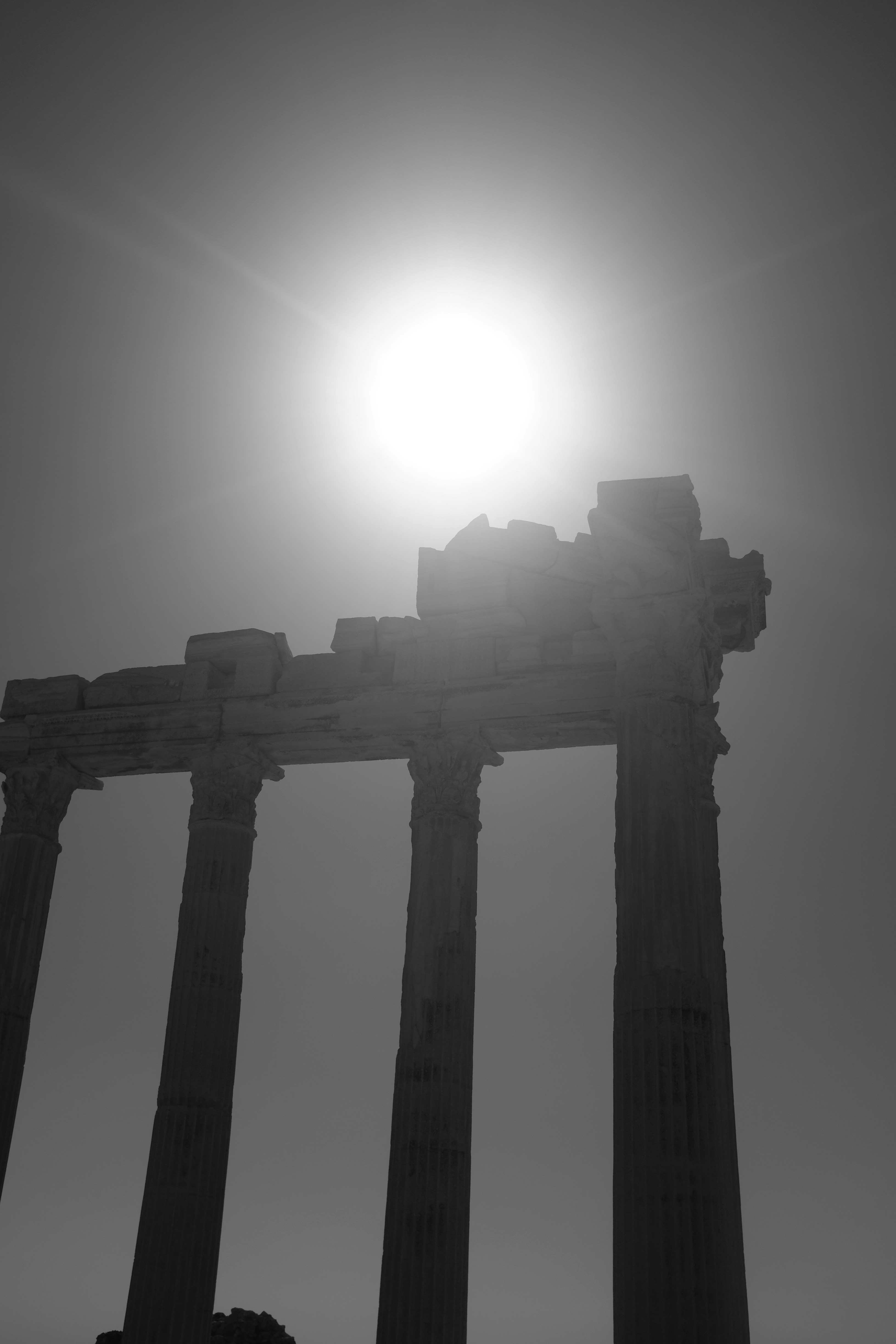 Photo by ignatkushanrev