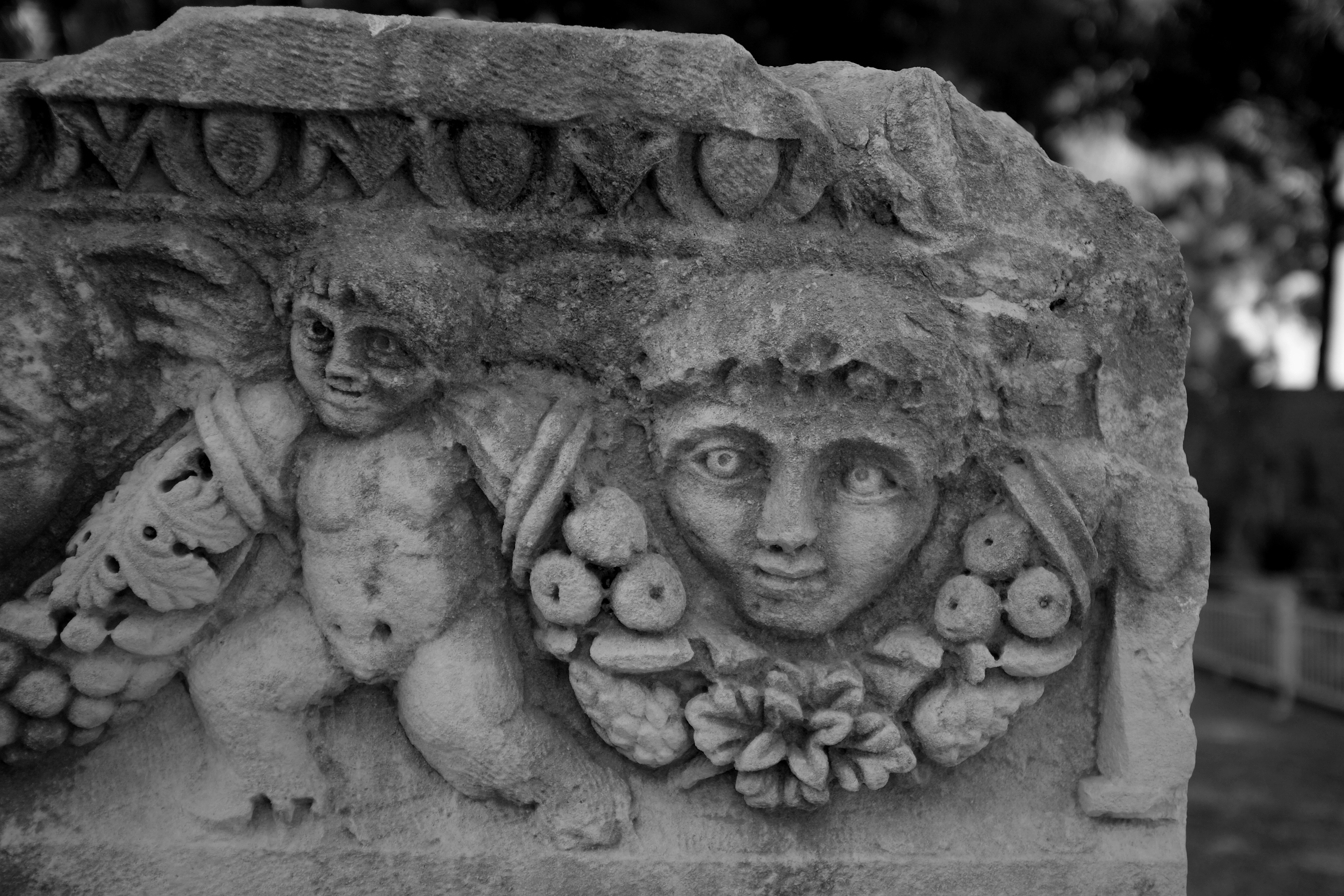 Photo by ignatkushanrev