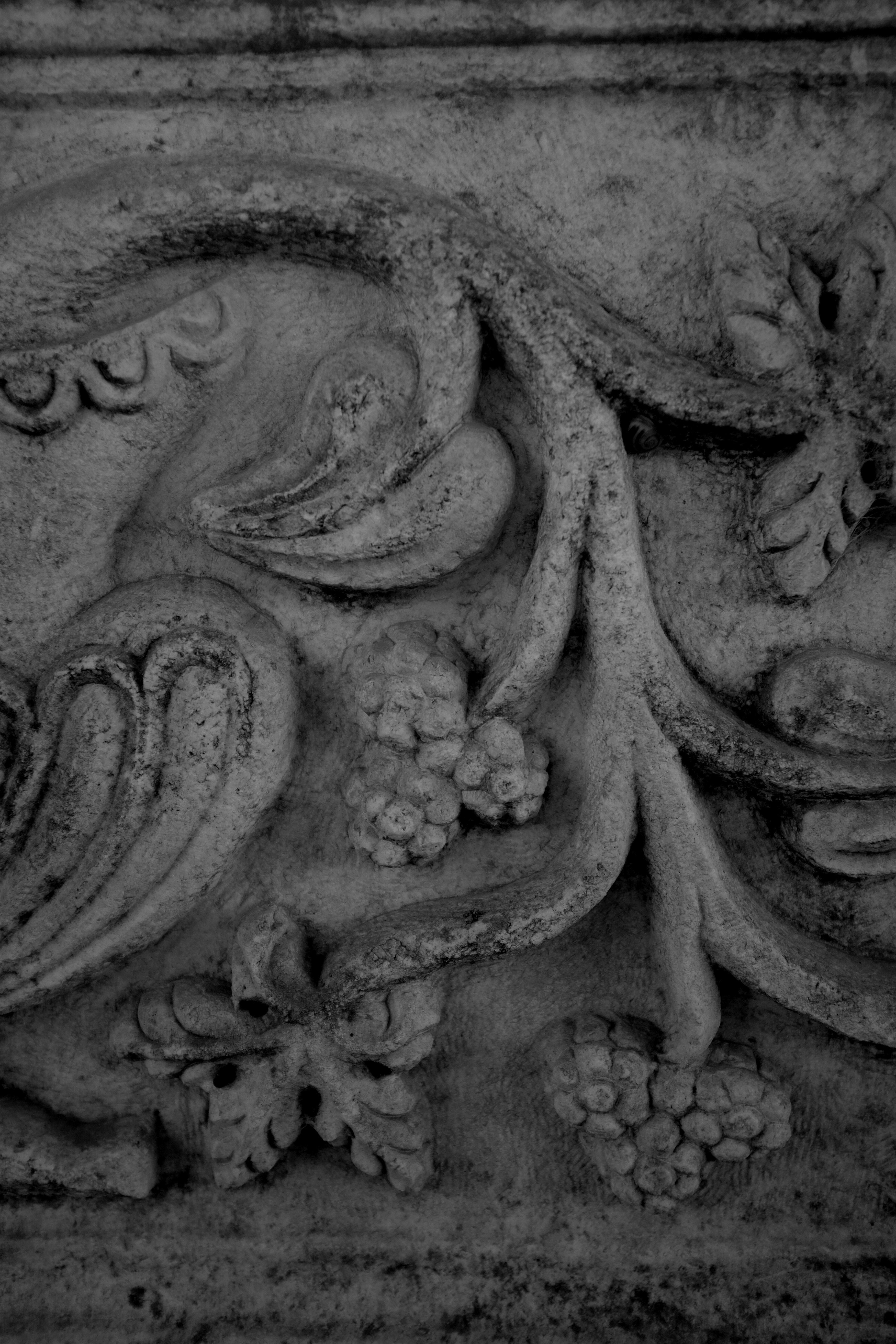 Photo by ignatkushanrev