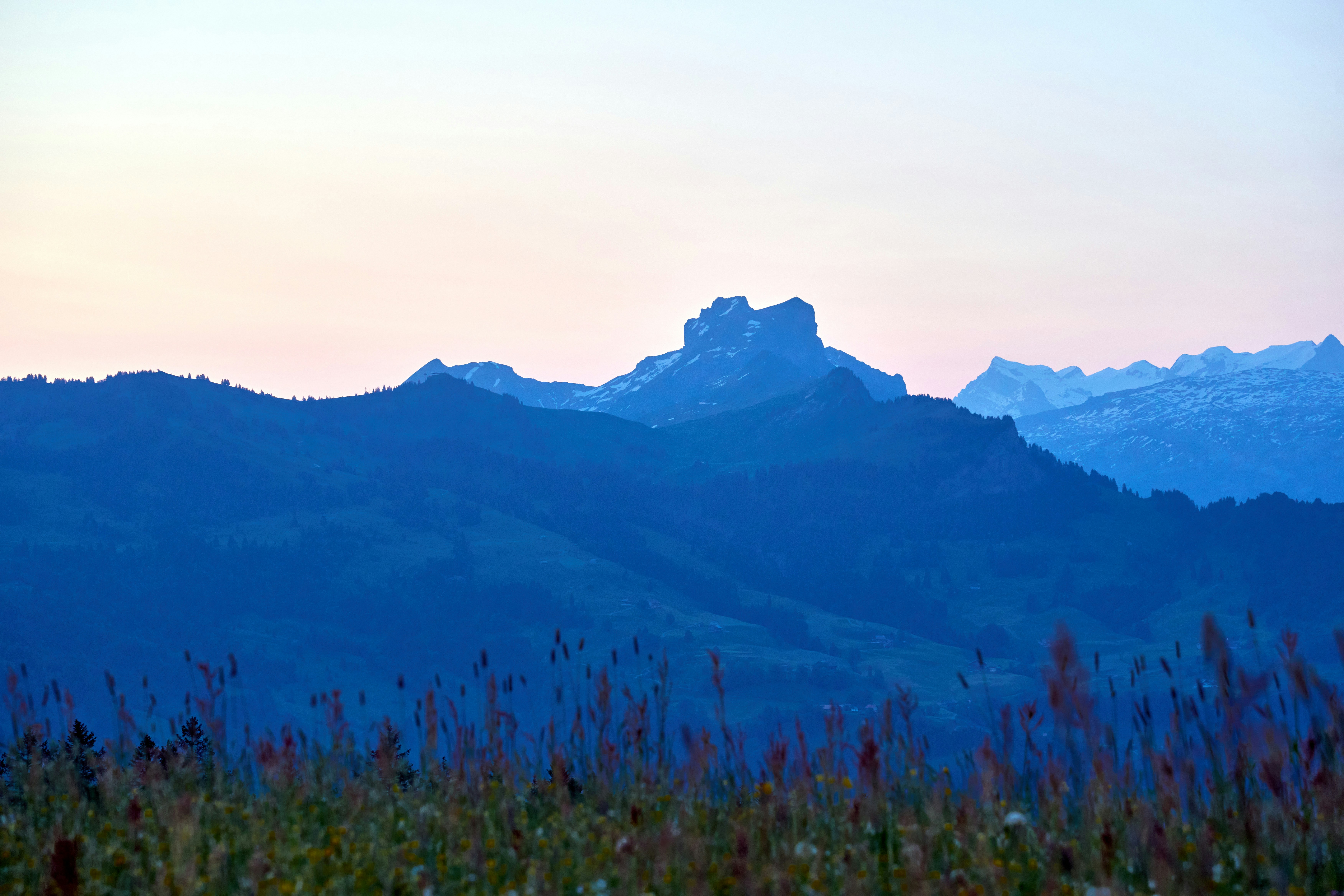 Photo by wolfgang_hasselmann