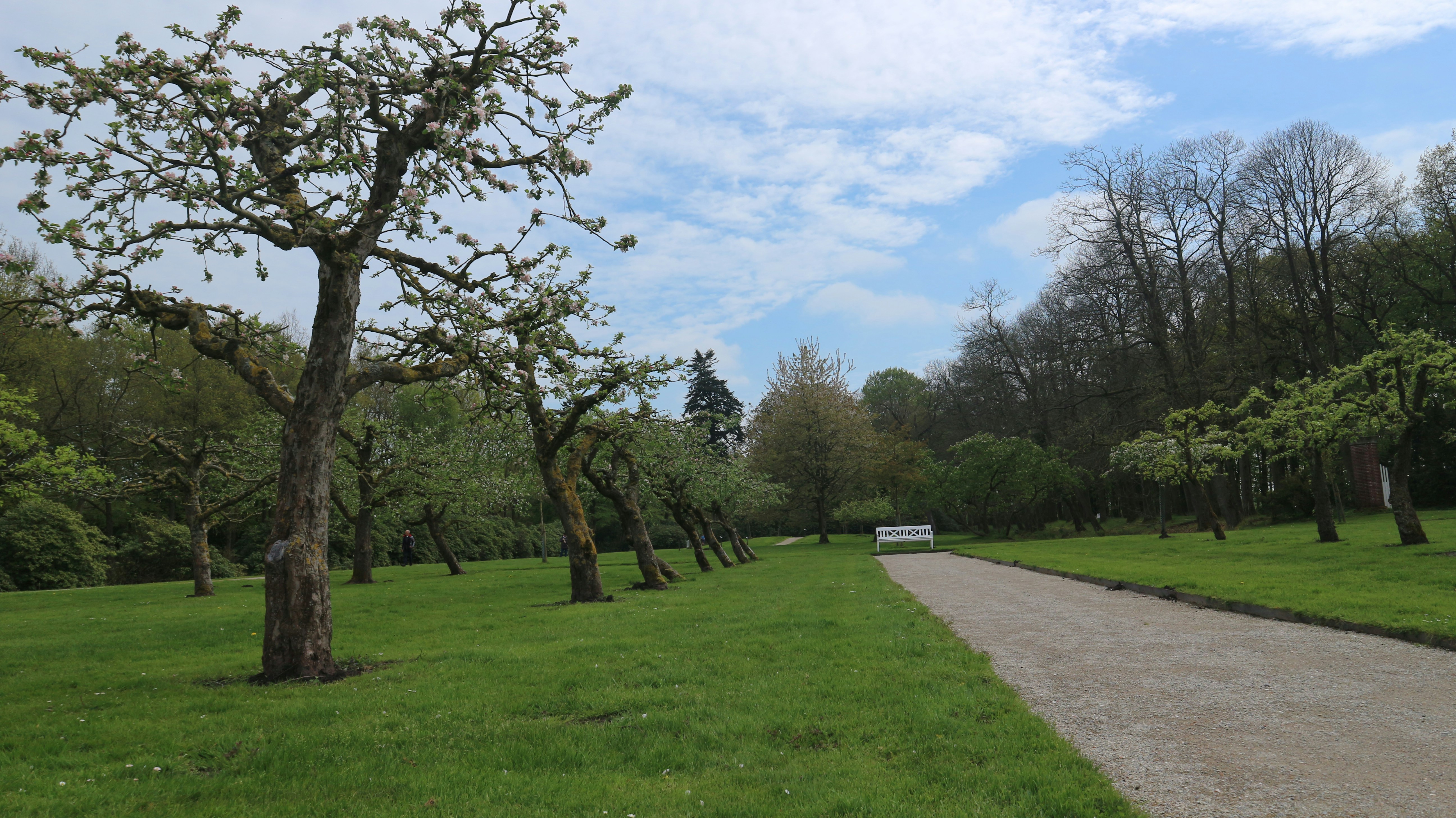 Photo by benjirokaneki