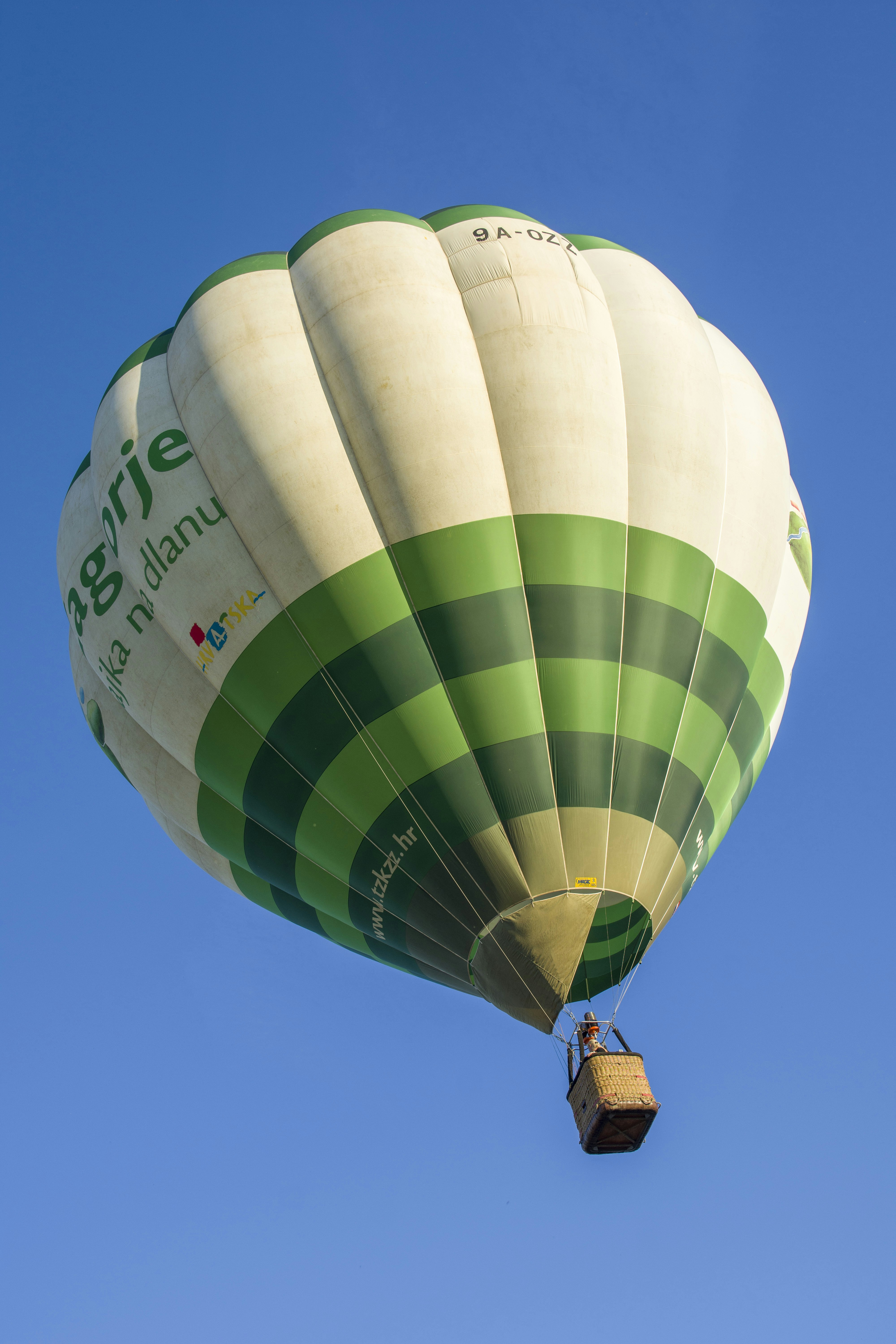 ein großer grün-weißer Heißluftballon