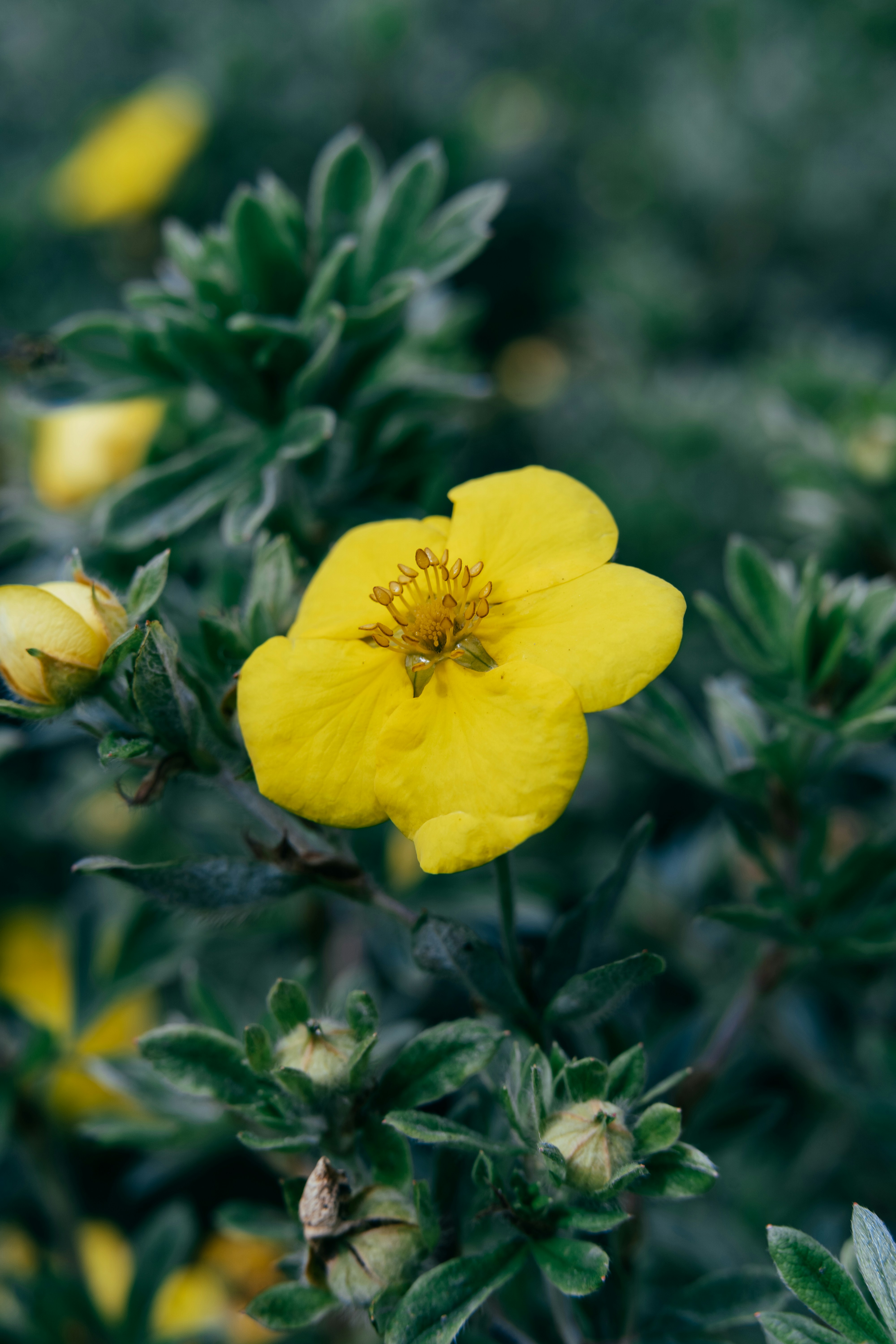 Photo by anamnesis33