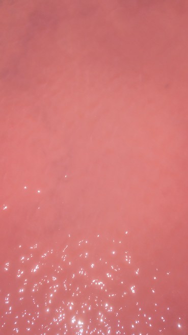 A smooth pink surface with a subtle texture, reflecting small specks of light which create a shimmering effect.