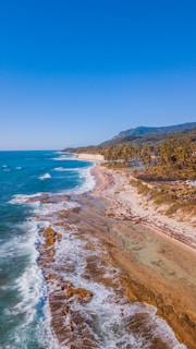 Aerial view of a picturesque coastal landscape with turquoise ocean waves gently hitting a rocky shoreline. The sandy beach stretches along the coast, bordered by lush green palm trees and a dense forest in the background. Clear blue skies dominate the scene, enhancing the tropical vibe.