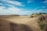 A vibrant desert landscape featuring warm sand dunes under a bright blue sky.