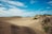 A vibrant desert landscape featuring warm sand dunes under a bright blue sky.