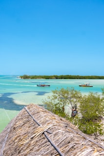 A scenic tropical landscape featuring a thatched roof in the foreground, turquoise waters, a lush green mangrove, and two small boats with passengers in the background. The sky is clear with a bright blue hue.