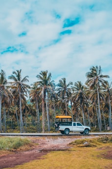 A comfortable medical transport vehicle parked outside a dialysis center under clear Hawaiian skies.