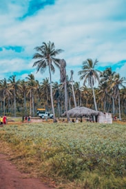A tropical landscape features a field of green foliage in the foreground, leading to a sandy path and a small thatched-roof hut. A variety of tall coconut palm trees rise into a bright blue sky with scattered clouds. A white vehicle resembling a truck or bus is parked nearby, and several people are seen interacting with the scene.