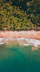 A breathtaking view of a pristine white sandy beach with turquoise waters and lush green palm trees swaying gently.