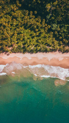 A breathtaking view of a pristine white sandy beach with turquoise waters and lush green palm trees swaying gently.