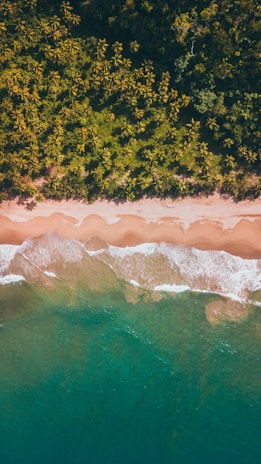 A breathtaking view of the Dominican Republic showcasing its natural beauty and pristine beaches.