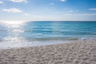 A serene beach scene with clear blue skies and gentle waves, reflecting the calm and natural vibe of Shinin Beauty.