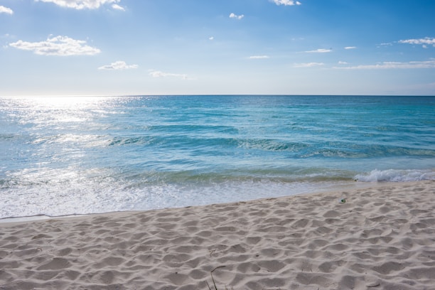 A serene beach scene with clear blue skies and gentle waves, reflecting the calm and natural vibe of Shinin Beauty.
