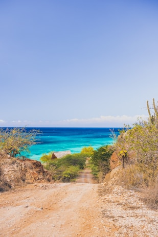 A dirt road leads down towards the ocean, surrounded by rocky terrain and sparse vegetation. In the background, vibrant turquoise and deep blue waters meet under a clear blue sky. A few small rustic buildings with thatched roofs are nestled among green bushes, adding a sense of isolation and tranquility to the scene.
